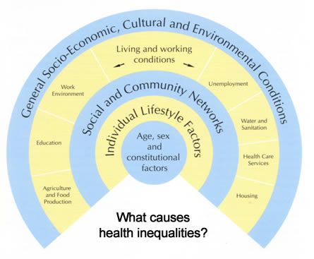 health social determinants public diagram mental medical oral model sociology care rainbow environment models nursing factors promotion salud related illness
